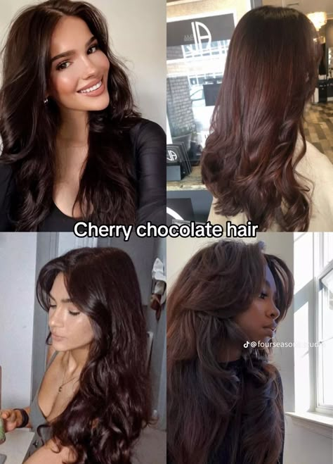 Deep Winter Hair Color Palette, Deep Cherry Brown Hair, Deep Mahogany Hair Color, Cocoa Brown Hair Color, Deep Winter Hair Color Ideas, Cherry Brown Hair Color, Cherry Brunette Hair, Deep Winter Hair Color, Dark Maroon Hair