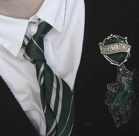 Quidditch Uniform, Slytherin Uniform, Harry Potter Uniform, Slytherin Clothes, Albus Severus Potter, Slytherin Fashion, Hogwarts Uniform, Green Academia, Harry And Ginny