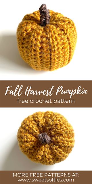 Crochet Fall Patterns, Crocheted Pumpkins, Crochet Thread Size 10, Pumpkin Crochet, Pocket Hugs, Crochet Leaf Patterns, 4mm Crochet Hook, Harvest Pumpkin, Crochet Cord