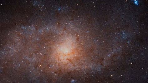 Hubble Photos, Triangulum Galaxy, Photo Ciel, Hubble Space Telescope Images, Nasa Hubble, Astronomy Pictures, Galaxy Images, Hubble Telescope, Hubble Images