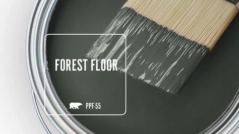 PPF-55 FOREST FLOOR | Behr Paint Colors Behr Moody Green, Black Outdoor House Paint, Pinecone Path Behr, Behr Wood Stain Colors, Smokey Green Paint, Behr Dark Green Paint Colors, Dark Forest Green Paint, Behr Green Paint Colors, Moody Basement