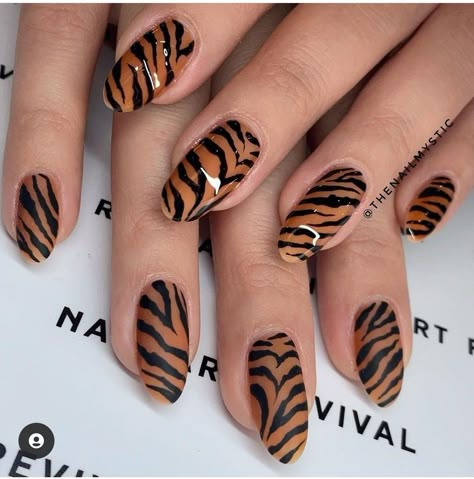 Tiger Print Nail Art Designs, Nail Tiger Design, Tiger Nails Art, Tiger Print Nail Designs, Tiger Design Nails, Tiger Print French Tip Nails, Tiger Nail Art Design, Lion Nails Designs, Nails Tiger Print