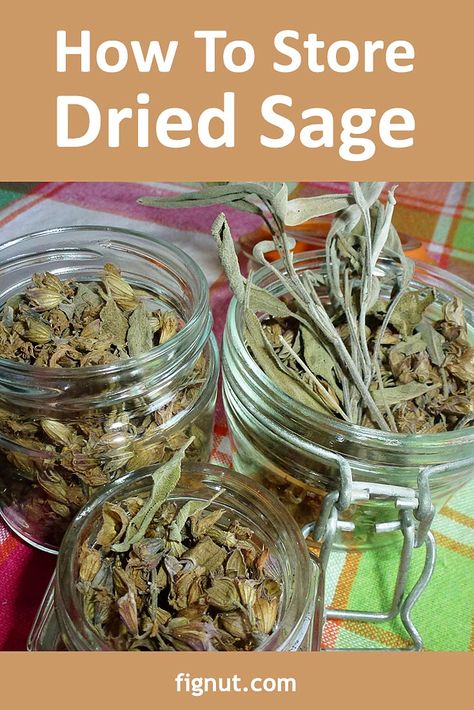 Clary Sage Uses, Dry Sage, Mason Jar Photo, Sage Flowers, Dried Sage, Outdoor Herb Garden, Harvesting Herbs, How To Dry Sage, Basil Seeds