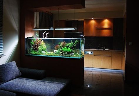 Peninsula Aquarium, Decorative Partition, Desktop Aquarium, Partition Ideas, Wall Aquarium, Fish Tank Terrarium, Open Plan Kitchen Living Room, Latest Living Room Designs, Home Aquarium