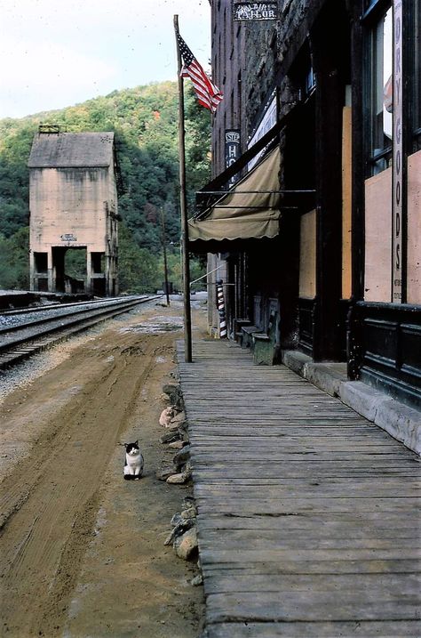 Rural Appalachia Aesthetic, Montana Cabin Aesthetic, Old Gods Of Appalachia Aesthetic, Appalachia Gothic, Northeast Gothic, Haunted Appalachia, Hillbilly Aesthetic, Appalachian Gothic Aesthetic, Dark Appalachia