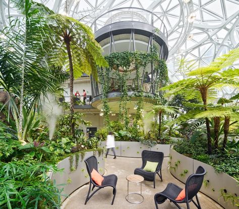 Amazon Spheres, Concrete Floor Leveling, Interior Concrete Floors, Calming Spaces, Luxury Outdoor Furniture, Poltrona Frau, Biophilic Design, Lounge Seating, Lifestyle Design