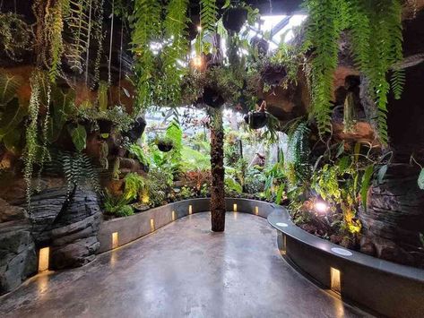 Public Aquarium Architecture, Reptile Exhibit, Zoo Exhibit Design, Aviary Design, Jungle Habitat, Reptile Store, Dinosaur Game, Zoo Inspiration, Zoo Design