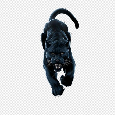 Panther Running Transparent Background | Premium AI-generated PSD Animals Images, Animal Pictures, Panther, Baby Animals, Graphic Resources, Transparent Background, Dog Cat, Stock Photos, Running