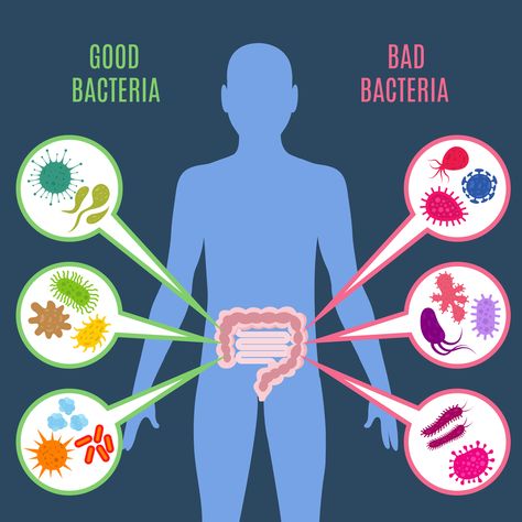 Probiotics for kidney health is a hot topic in the nephrology world. Knowing what types of probiotics for kidneys and what they are doing is essential. Low Stomach Acid, Body Detox Cleanse, Colon Detox, Flora Intestinal, Low Carb Diets, Low Fodmap Diet, Gut Bacteria, Health Smoothies, Gut Microbiome