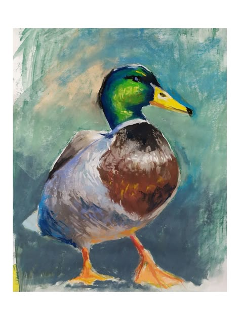 Animal Soft Pastel, Soft Pastel Art Animals, Oil Pastel Bird Drawing, Animal Pastel Art, Soft Pastel Animals, Oil Pastel Art Animals, Pastel Bird Drawing, Animal Oil Pastel, Oil Pastel Bird