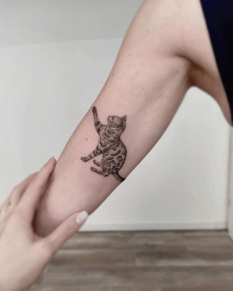 Bengal Cat Tattoo, Cat Outline Tattoo, Cat Outline, Outline Tattoo, Bengal Cat, Cool Art Drawings, Cat Tattoo, Cat Pin, Pin Collection