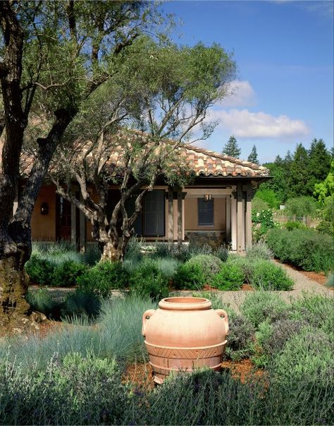 Napa Style, Mediterranean Garden Design, Contemporary Entryway, Mediterranean Landscaping, Lavender Garden, Image Nature, Contemporary Cottage, Contemporary Garden, Mediterranean Garden