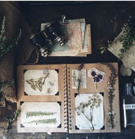 Euphoric Aesthetic, Nature Scrapbook, Witch Altar, Tattoo Diy, Nature Studies, Field Journal, Nature Journaling, Trendy Plants, Stick N Poke