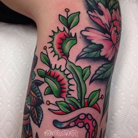 Carnivorous Plant Tattoo, Flytrap Plant, Plant Tattoo Ideas, Traditional Tattoo Filler, Plant Tattoos, Traditional Tattoo Flowers, 2 Tattoo, Tattoo Plant, Traditional Style Tattoo