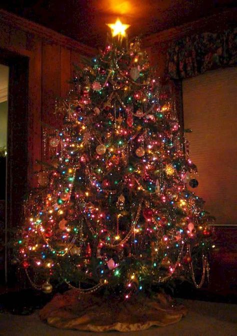 Colored Light Christmas Tree Ideas, Christmas Tree With Coloured Lights, Christmas Tree Wallpaper, Hall Kitchen, Colored Lights, Tacky Christmas, Elegant Christmas Trees, Farmhouse Christmas Tree, Tree Light