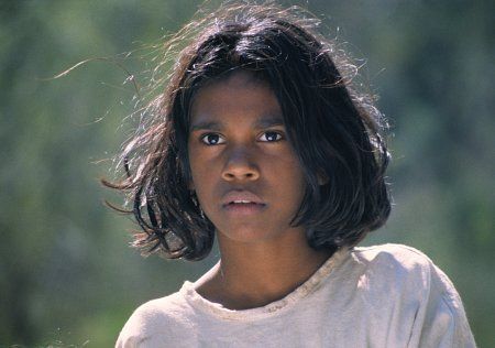 . Rabbit Proof Fence, Fences Movie, Kat Diy, Kenneth Branagh, Australian Football, We Are The World, She Song, The Rabbit, Picture Photo