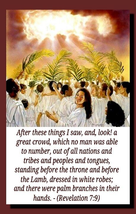 After this I looked, and behold, a great multitude that no one could number, from every nation, from all tribes and peoples and languages, standing before the throne and before the Lamb, clothed in white robes, with palm branches in their hands, and crying out with a loud voice, “Salvation belongs to our God who sits on the throne, and to the Lamb!” -- Revelation 7:9-10 Jw Inspiration, Revelation 7, Romans 4, Prophetic Art, Ayat Alkitab, Jesus Is Coming, Book Of Revelation, Bible Prophecy, Jehovah's Witnesses