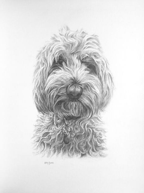 Drawing commission from a photograph | #cockapoo #petportrait #petart #pencildrawing #pencilart #petprints #commission Dog Foto, Drawing Commissions, Cockapoo Dog, Dog Sketch, Sketchbook Drawings, Nature Art Painting, Easy Watercolor, Animal Sketches, Botanical Drawings