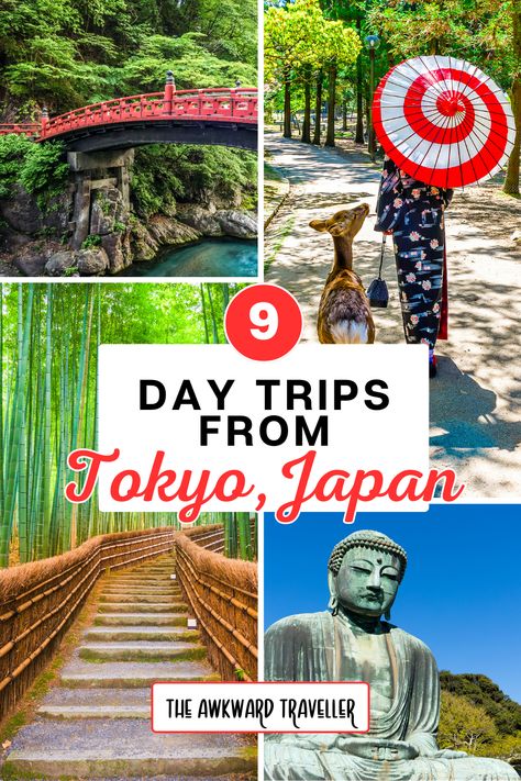 There's more to Japan than just Tokyo, but time is limited! To see more of what Japan has to offer, here are some of the best day trips from Tokyo! #japantravel #tokyotravel #japantrain Day Trips From Tokyo, Japan Train, Streets Of Tokyo, Futuristic Tech, Japan Travel Tips, Universal Studios Japan, Land Of The Rising Sun, Countries To Visit, Tokyo Travel