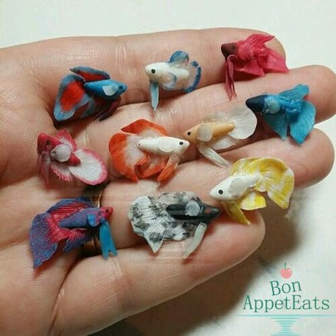 Mini Choses, Polymer Clay Kunst, Crea Fimo, Clay Fish, Tanah Liat, Clay Things, Polymer Clay Animals, Clay Stuff, Cute Polymer Clay