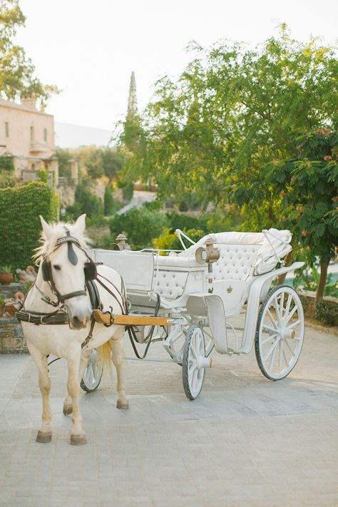 Horse And Carriage Wedding, Carriage Wedding, Wedding Transport, Wedding Carriage, Creative Wedding Favors, Horse Wedding, Wedding Transportation, Horse And Carriage, Cinderella Wedding