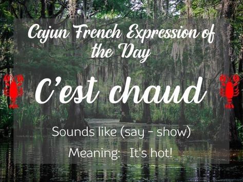 Cajun French Sayings, Cajun People, Creole French, Creole People, Creole Culture, French Sayings, Mardi Grad, French Love Quotes, Cajun French