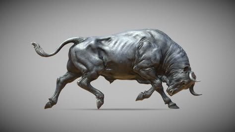 Bull | 3D Sculpting - Buy Royalty Free 3D model by BreathTime [72c8db8] - Sketchfab Store Bear Logo Design, Wild Bull, Saraswati Photo, Bass Fishing Shirts, Mural Art Design, 3d Sculpting, Bull Art, Chibi Sketch, Bull Tattoos