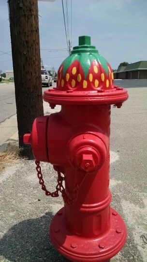 Fire hydrants are hand painted by the major of Chadbourn, NC. Fire Hydrant Aesthetic, Painted Fire Hydrant Ideas, Fire Hydrant Painting Ideas, Fire Hydrant Craft, Fire Dept Decor, Fire Hydrants, Therapeutic Art, Fire Prevention, Fire Art