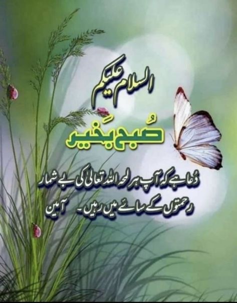 Good Morning Messages Friends, Subha Bakhair, Eid Poetry, Morning Dua, Beautiful Mosque, Jumma Mubarak Quotes, Good Day Messages, Beautiful Love Images, Clean Funny Jokes