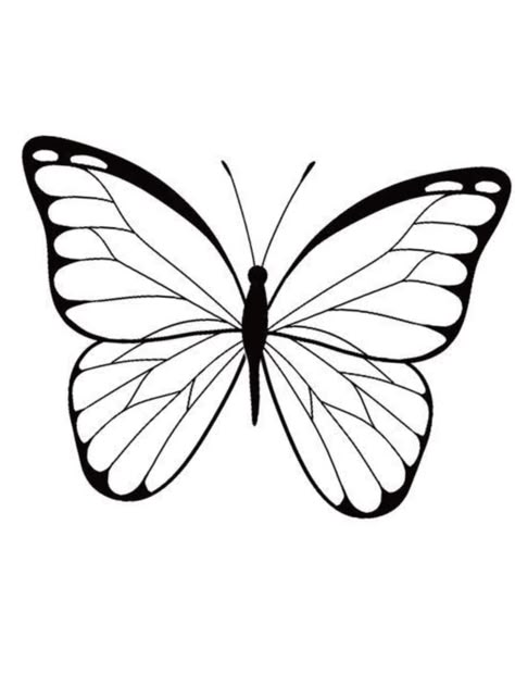 Easy Drawings For School, Stained Glass Art Butterfly, Butterfly Sketch Simple, Butterfly Design Drawing, Butterfly Drawing Sketches, Butterfly Wings Drawing, Butterfly Drawing Aesthetic, Simple Butterfly Drawing, Butterfly Drawing Outline