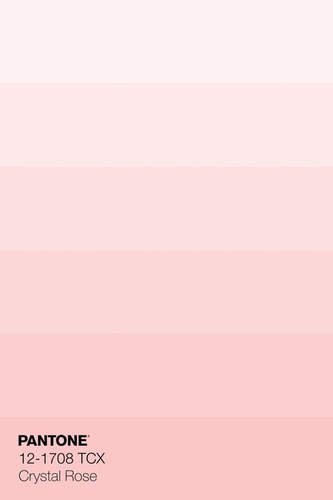 Pastel Pink Color Palette, Pantone Rose, Coquette Color Palette, Soft Pink Pantone, Pantone Peach Pink, Pantone Champagne Pink, Pantone Color Palette, Light Pink Pantone Colour Palettes, Pink Color Chart