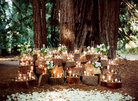 Forest Wedding Ceremony Altar by Waterlily Pond Party Planning Guide, Candle Dipping, Woodsy Wedding, Whimsical Wedding, Tree Stump, Flower Display, Woodland Wedding, To Infinity And Beyond, Wedding In The Woods