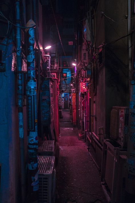 Japan Red Light District, Tokyo Red Light District, Urban Dystopia, Neon Forest, Comfort Films, City Wallpapers, Red Light District, City Wallpaper, Blade Runner