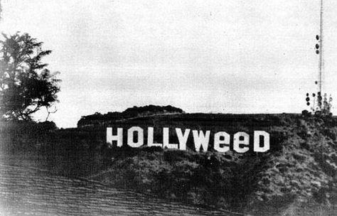 Twitter Header Badass, Twitter Header Photos, Hollywood Sign, Header Photo, Twitter Header, Cover Photos, Favorite Places, Trees, Hollywood