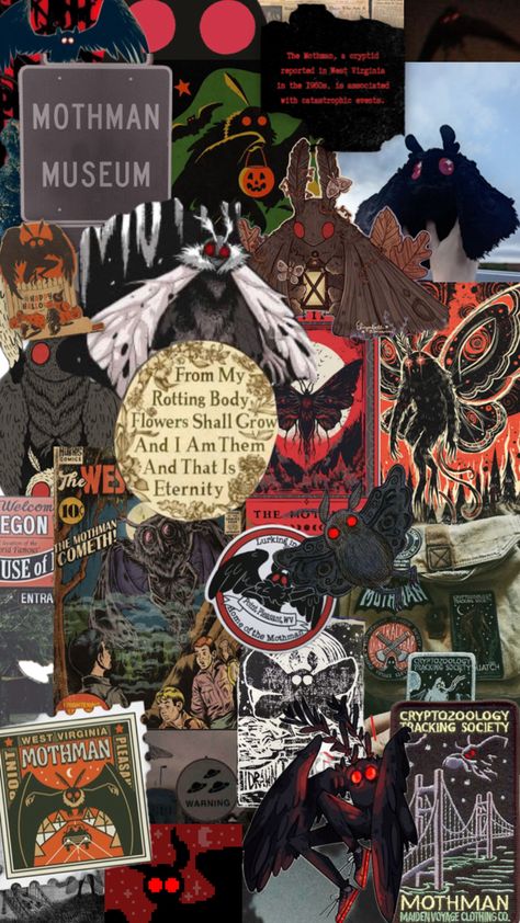 My first collage Mothman Wallpaper, Mothman Aesthetic, Cryptidcore Aesthetic, Band Aesthetic, Clothing Co, Aesthetic Wallpaper, Pretty Wallpapers, Fantasy Art, Wallpapers