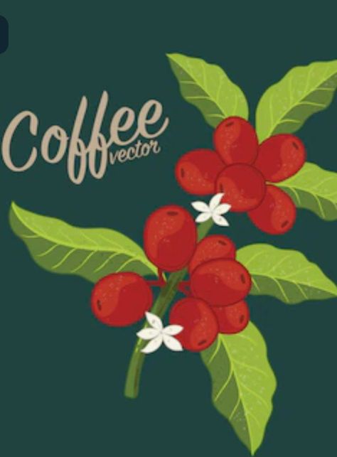 Coffee Leaves Illustration, Coffee Tree Illustration, Coffee Plant Illustration, Coffee Bean Tree, Cafe Mural, Sumatra Coffee, Coffee Festival, Coffee Van, Hidden House