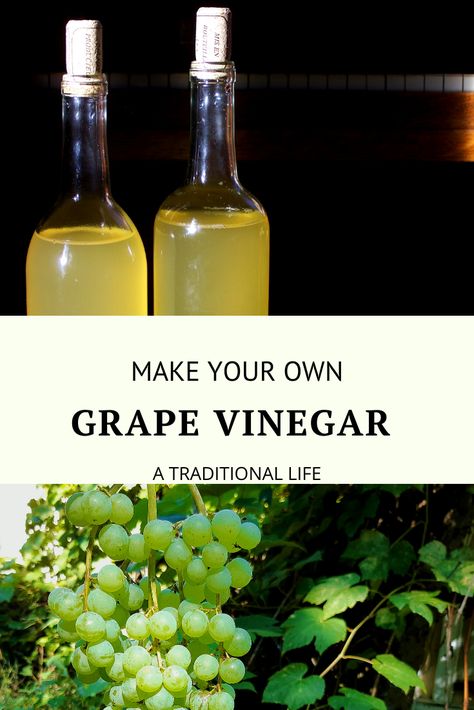 How to Make Grape Vinegar Corn Free Diet, Make Vinegar, Keto Sauce, Grape Vinegar, How To Make Vinegar, Wine Making Recipes, Infused Vinegars, Grape Jam, Keto Sauces