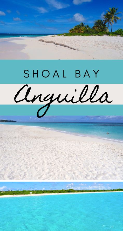 Shoal Bay Beach is the most beautiful beach in Anguilla and one of the top beaches in the Caribbean. Travel to Shoal Bay as a day trip, or spend your honeymoon relaxing on its soft white sands. View Beach Aesthetic, Saint Marteen, Anguilla Island, Tobago Cays, Aesthetic Beach Pictures, St Marteen, 2024 Beach, Anguilla Beaches, Bagac Bataan Beach