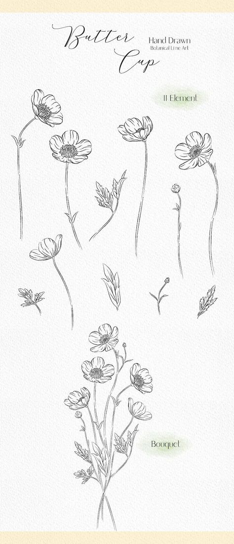 Line drawing buttercup clip art wildflower svg botanical | Etsy Meadow Buttercup Tattoo, Buttercups Flower Tattoo, Buttercups Flowers Drawing, Individual Flower Drawing, Buttercup Flowers Tattoo, Buttercup Drawing Flower, Buttercup Flower Tattoos, Small Buttercup Flower Tattoo, How To Draw Buttercup