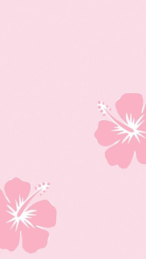 🌺 Pink Flower Lockscreen, Pink Tropical Wallpaper, Hibiscus Flower Wallpaper Aesthetic, Hibiscus Flower Wallpaper, Flower Wallpaper Aesthetic, Flower Lockscreen, Light Pink Wallpaper, Pink Hibiscus Flower, Wallpaper Iphone Summer