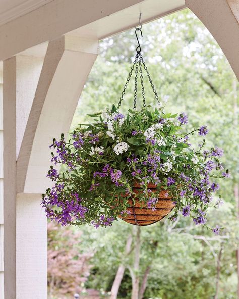 <p>Take seasonal containers to new heights with hanging garden baskets. Suspending a blooming arrangement from a porch or patio is an easy way to freshen up an outdoor space. Or boost curb appeal by adding a basket of blooms on the front door. Many flowers actually grow better in hanging baskets. Dangle an arrangement of heat-tolerant succulents in a sunny spot, or string up a container of leafy ferns in a shady area. These versatile containers can hang on the porch year-round—just replace perennial blooms from season to season. Here, 10 of our favorite hanging baskets.</p>