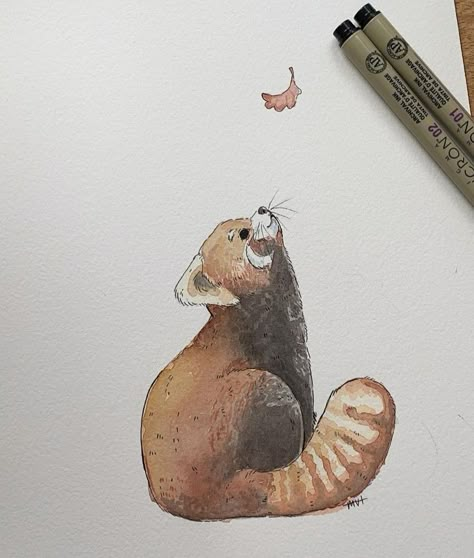 Ivory Owl Co Art, Watercolor Red Panda, How To Draw Red Panda, Sketchbook Art Inspiration Animals, Red Panda Line Art, Ivory Owl Art, Red Panda Drawing Sketch, Cartoon Unicorn Drawing, Red Panda Doodle