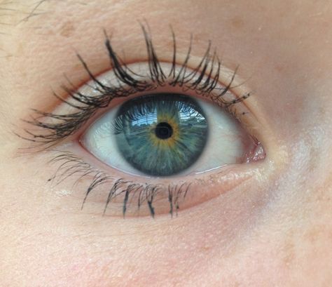 Eye Iris, Iris Eye, Eye Lens Colour, Eye Facts, Teal Eyes, Beautiful Eyes Color, Look Into My Eyes, Eye Photography, Gray Eyes