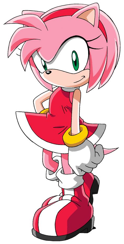 Sonic Amy, Sonic Birthday Parties, Sonic X, Amy The Hedgehog, Game Sonic, Rosé Png, Sonic Birthday, Sonic And Amy, Sonic Fan Characters