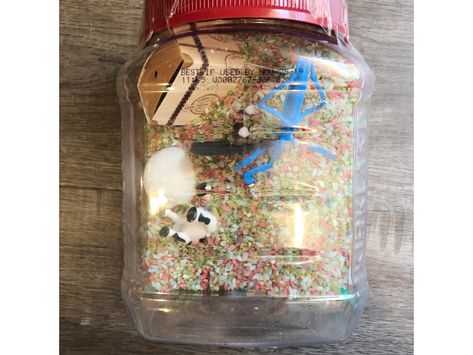 I Spy Passover Plague Activity - With Love, Ima I Spy Jar, Passover Preschool, Passover Activities, Jewish Preschool, Passover Crafts, 10 Plagues, Cute Suitcases, Passover Seder, Fine Motor Skills Activities