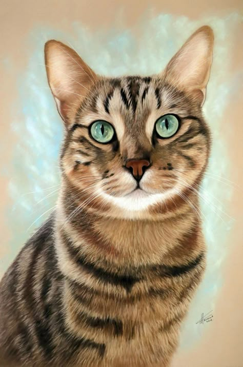 sample easy to draw this cat painting Easy To Draw, Custom Cat Portrait, 강아지 그림, Image Chat, Cat Artwork, Cat Portraits, Cat Painting, Tabby Cat, Cat Drawing