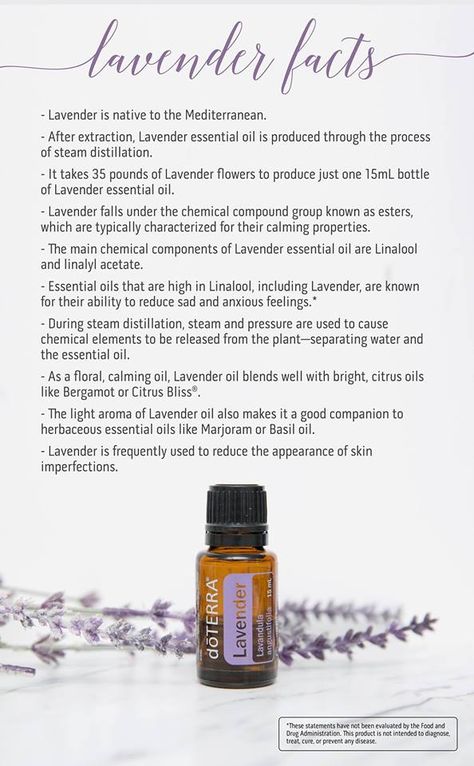 Terra Essential Oils, Doterra Lavender, Oils For Sleep, Stinging Nettle, Oil Diffuser Recipes, Health Practices, Essential Oil Benefits, Doterra Oils, Diy Essential Oils