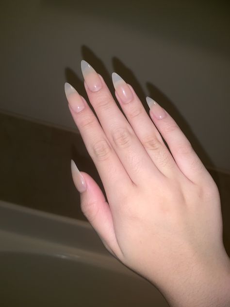 natural acrylic nails #nails #acrylicnails #nailinspiration #natural Clear Sharp Nails, Claw Nails Natural, Pointy Natural Acrylic Nails, Extremely Natural Acrylic Nails, Overgrown Acrylic Nails, Long Sharp Natural Nails, Natural Vampire Nails, Natural Stilleto Nail, Clear Stilleto Nails