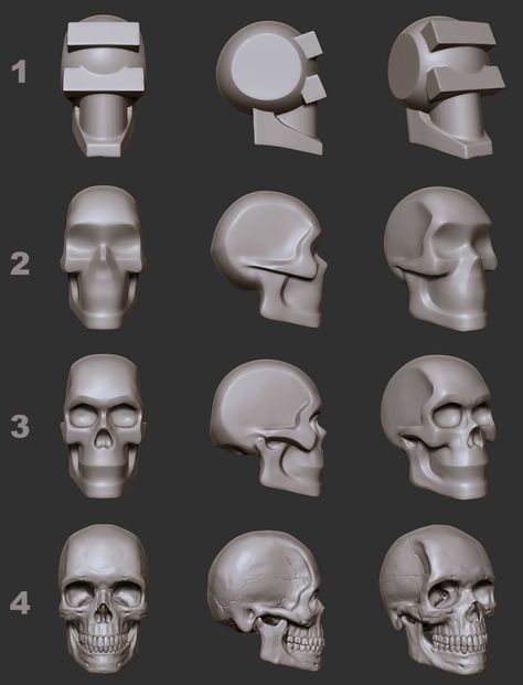 Human Skull Drawing, Zbrush Anatomy, 3d Anatomy, Zbrush Models, 3d Karakter, Skull Reference, Skull Model, Zbrush Character, Sculpting Tutorials