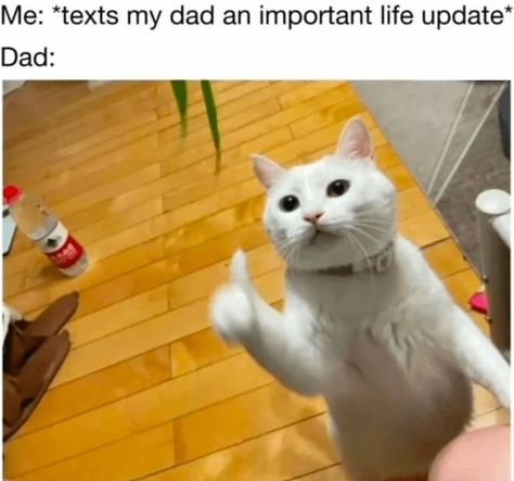 The Best Heartwarmingly Wholesome Memes and Posts of the Week (July 4, 2024) Wholesome Posts, Wholesome Romance, Friday Music, Cheezburger Cat, Dungeons And Dragons Game, Parenting Fail, Dragon Games, Funniest Memes, Scene Design